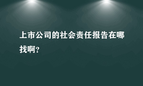 上市公司的社会责任报告在哪找啊？