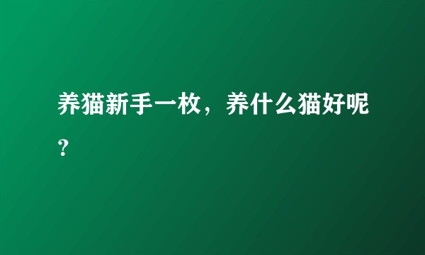养猫新手一枚，养什么猫好呢？