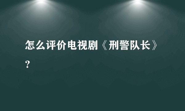 怎么评价电视剧《刑警队长》?