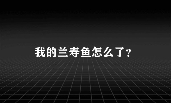 我的兰寿鱼怎么了？