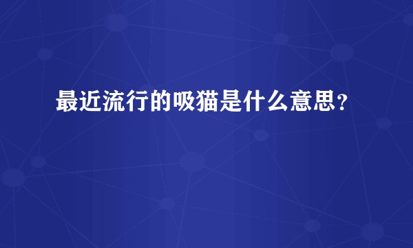 最近流行的吸猫是什么意思？