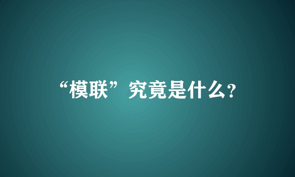 “模联”究竟是什么？