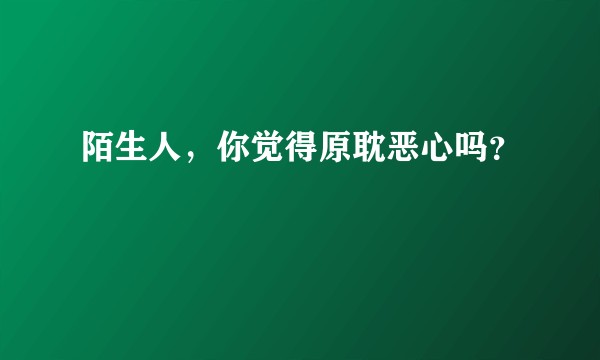 陌生人，你觉得原耽恶心吗？