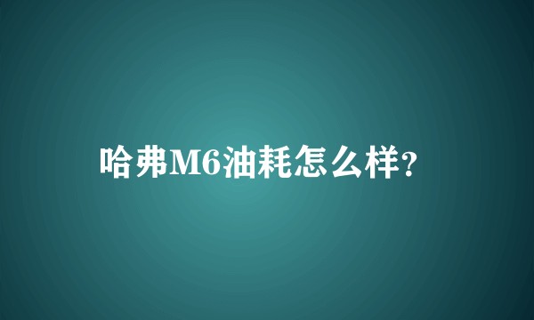 哈弗M6油耗怎么样？