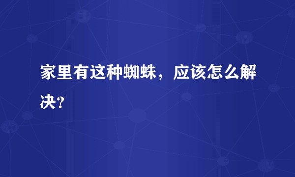 家里有这种蜘蛛，应该怎么解决？
