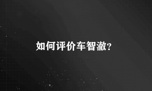 如何评价车智澈？
