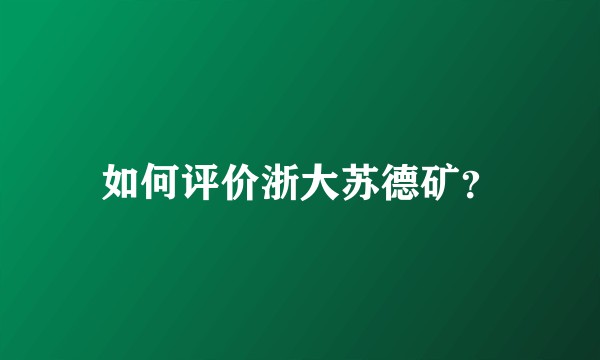 如何评价浙大苏德矿？