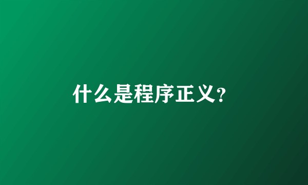 什么是程序正义？