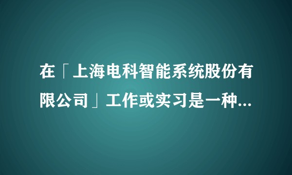在「上海电科智能系统股份有限公司」工作或实习是一种怎样的体验？