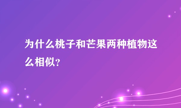 为什么桃子和芒果两种植物这么相似？