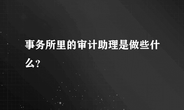 事务所里的审计助理是做些什么？