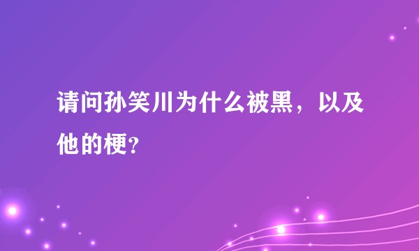 请问孙笑川为什么被黑，以及他的梗？