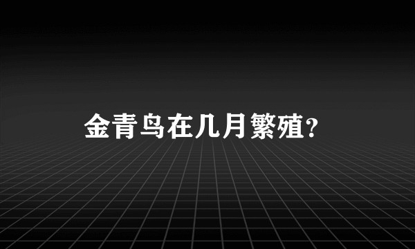 金青鸟在几月繁殖？