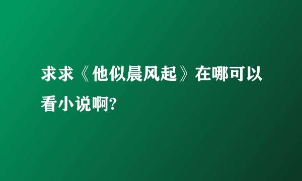 求求《他似晨风起》在哪可以看小说啊?