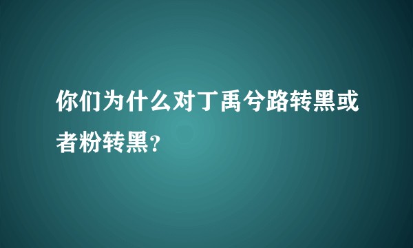 你们为什么对丁禹兮路转黑或者粉转黑？