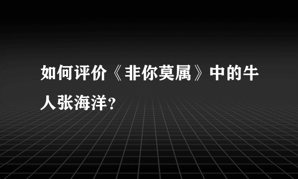 如何评价《非你莫属》中的牛人张海洋？