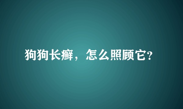 狗狗长癣，怎么照顾它？