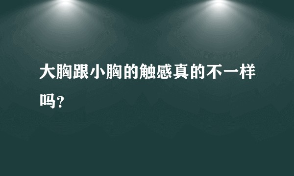 大胸跟小胸的触感真的不一样吗？