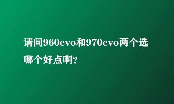 请问960evo和970evo两个选哪个好点啊？