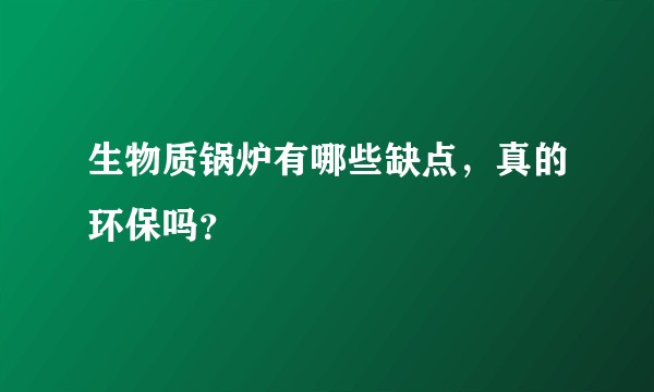 生物质锅炉有哪些缺点，真的环保吗？