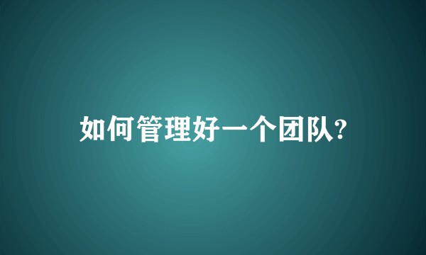如何管理好一个团队?
