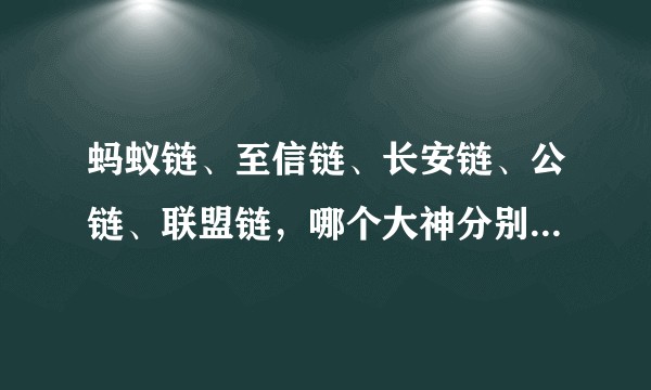 蚂蚁链、至信链、长安链、公链、联盟链，哪个大神分别讲一下有啥区别?