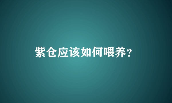 紫仓应该如何喂养？