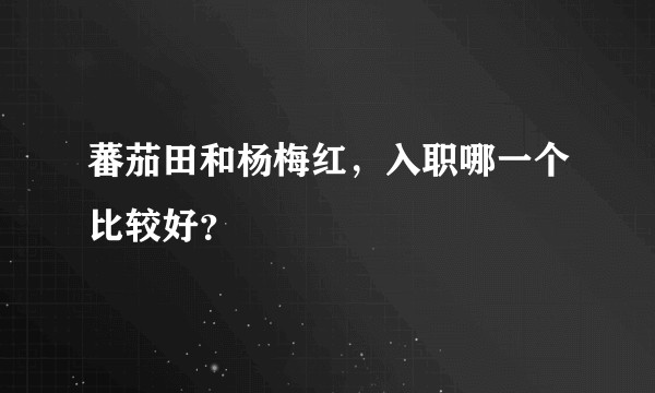 蕃茄田和杨梅红，入职哪一个比较好？