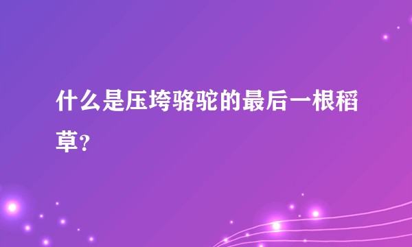 什么是压垮骆驼的最后一根稻草？