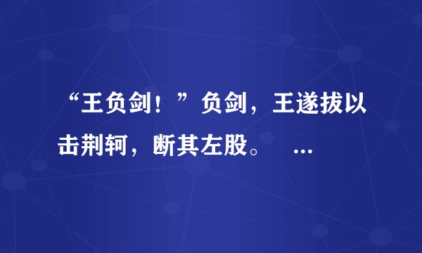 “王负剑！”负剑，王遂拔以击荆轲，断其左股。    这里有个“王负剑”，啥意思  ?