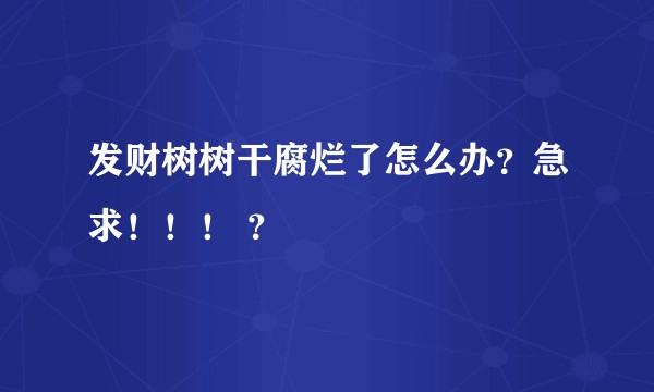 发财树树干腐烂了怎么办？急求！！！ ？