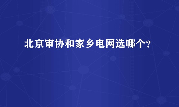 北京审协和家乡电网选哪个？