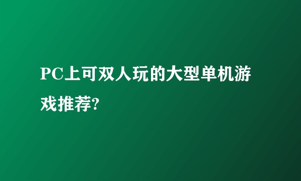 PC上可双人玩的大型单机游戏推荐?