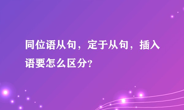 同位语从句，定于从句，插入语要怎么区分？