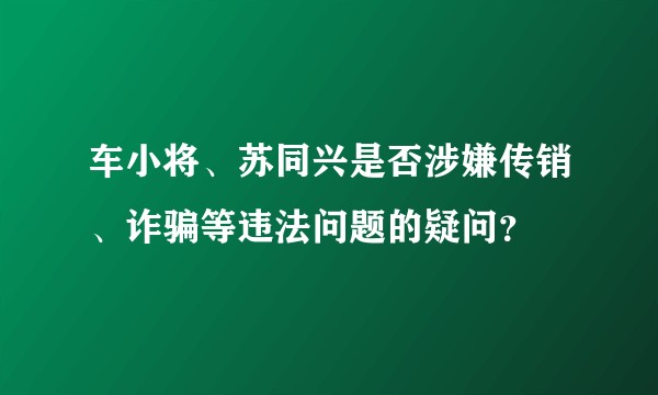 车小将、苏同兴是否涉嫌传销、诈骗等违法问题的疑问？