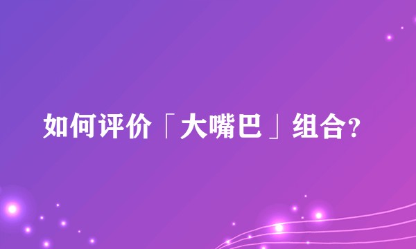 如何评价「大嘴巴」组合？