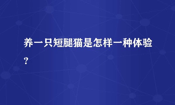 养一只短腿猫是怎样一种体验？