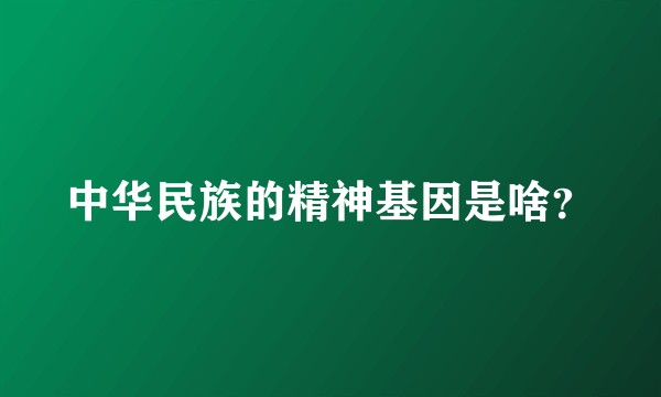 中华民族的精神基因是啥？