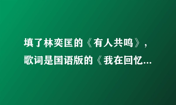 填了林奕匡的《有人共鸣》，歌词是国语版的《我在回忆里等你》，喜欢歌词的朋友欢迎来给点意见？