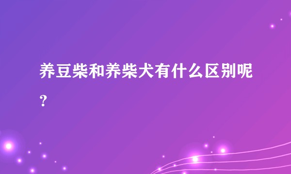 养豆柴和养柴犬有什么区别呢？