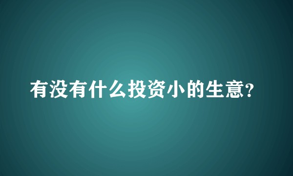 有没有什么投资小的生意？