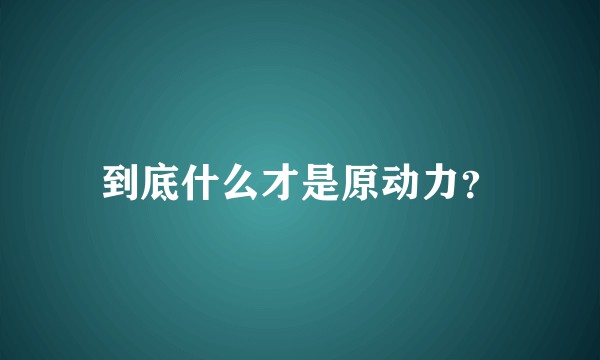 到底什么才是原动力?