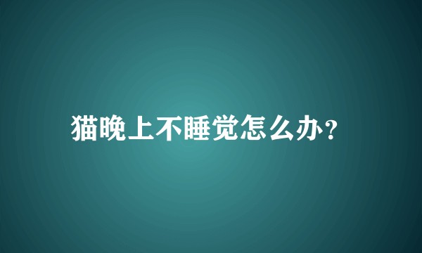 猫晚上不睡觉怎么办？