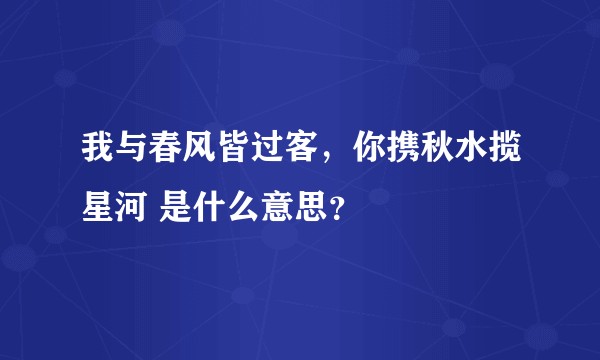 我与春风皆过客，你携秋水揽星河 是什么意思？