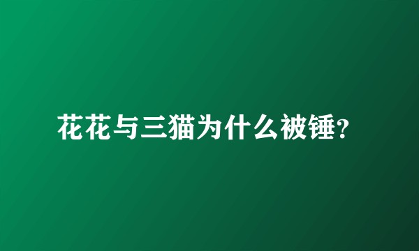 花花与三猫为什么被锤?