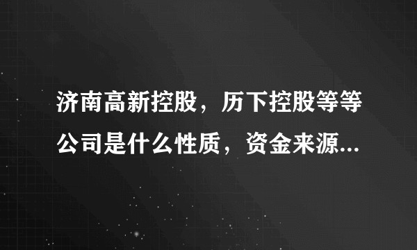 济南高新控股，历下控股等等公司是什么性质，资金来源是什么，主营业务是什么？