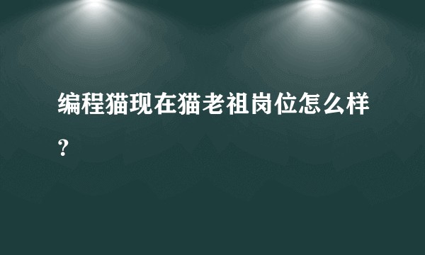 编程猫现在猫老祖岗位怎么样?