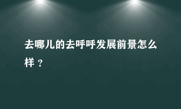 去哪儿的去呼呼发展前景怎么样 ？