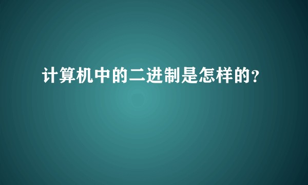 计算机中的二进制是怎样的？