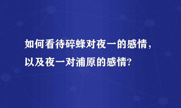 如何看待碎蜂对夜一的感情，以及夜一对浦原的感情?